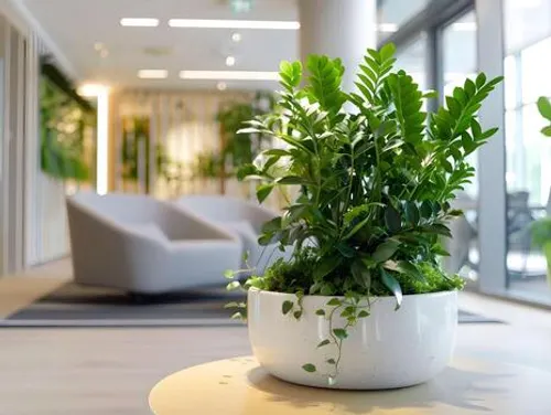 Przykład zieleni w biurze